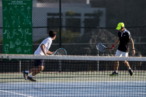 Tenis