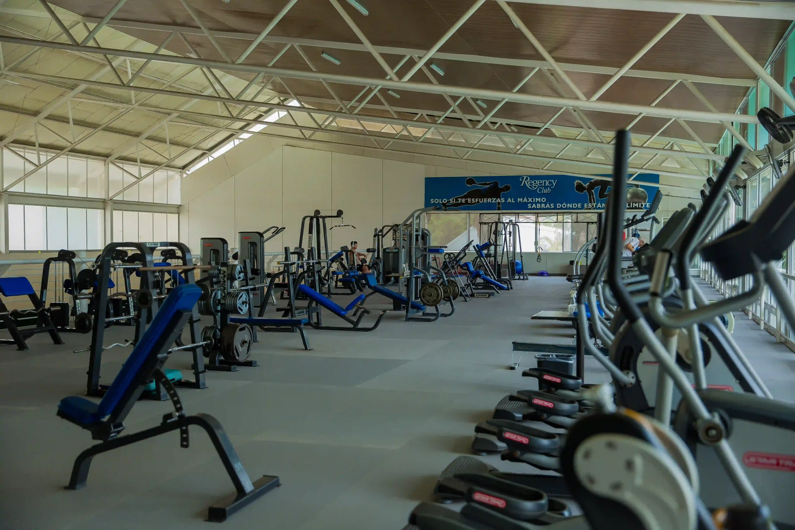 GYM 3